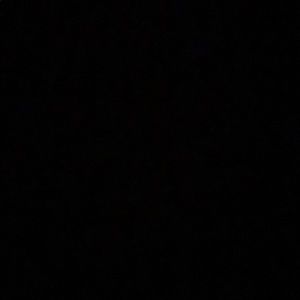 Meet your Posher, Dylan